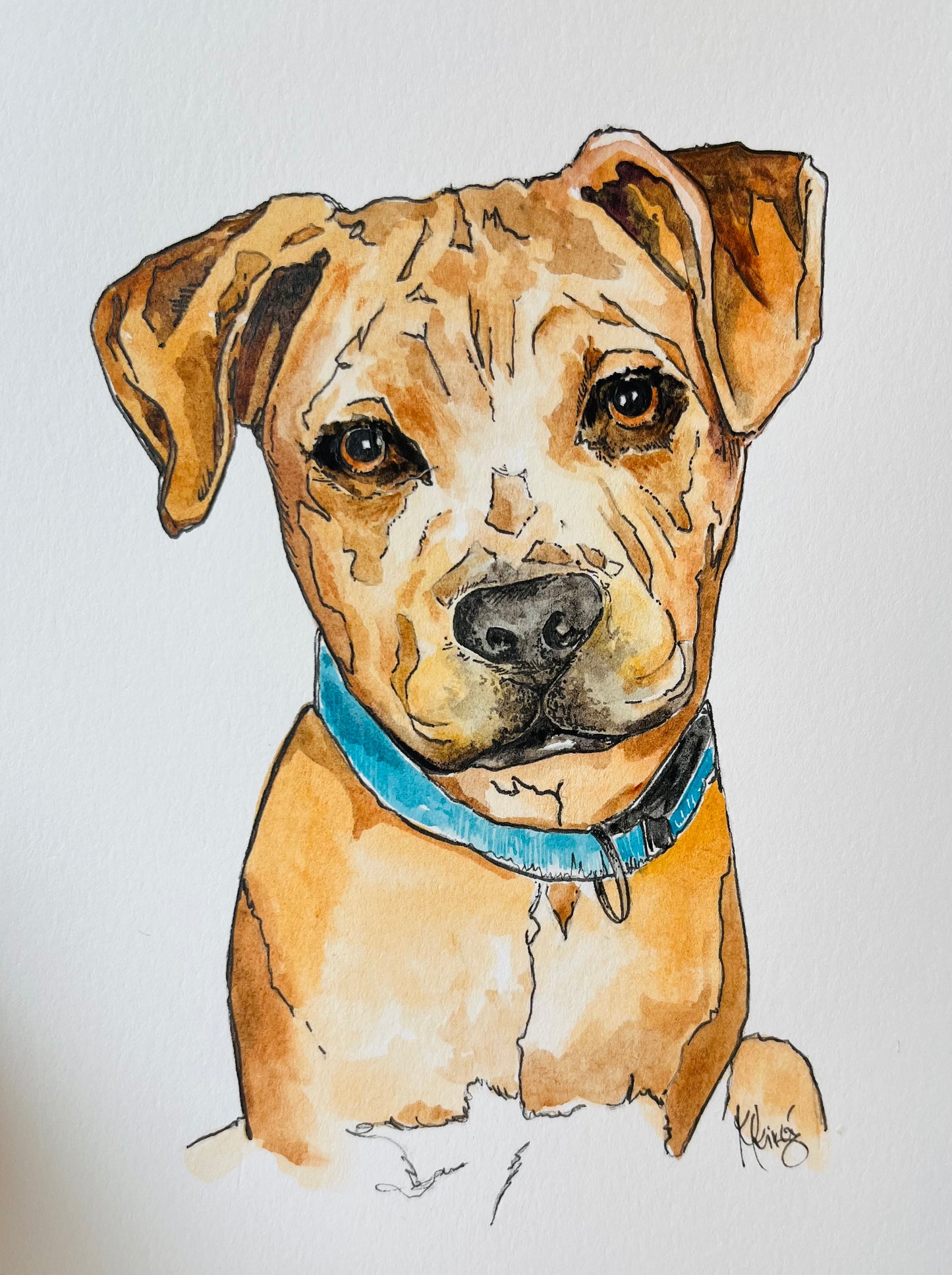 Custom Order - Pets