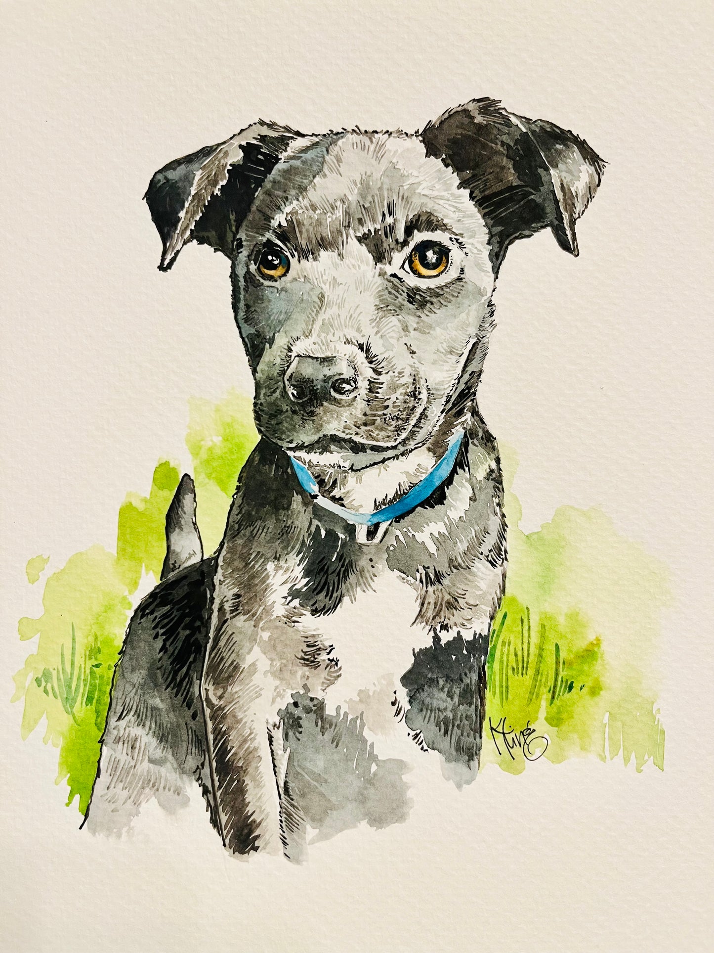 Custom Order - Pets