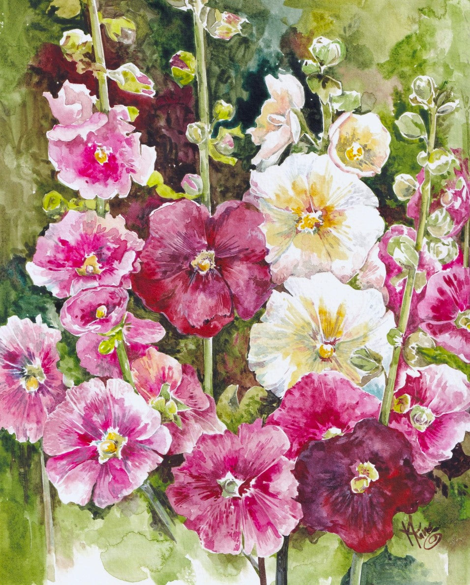 Hollihocks - Fine Art Print