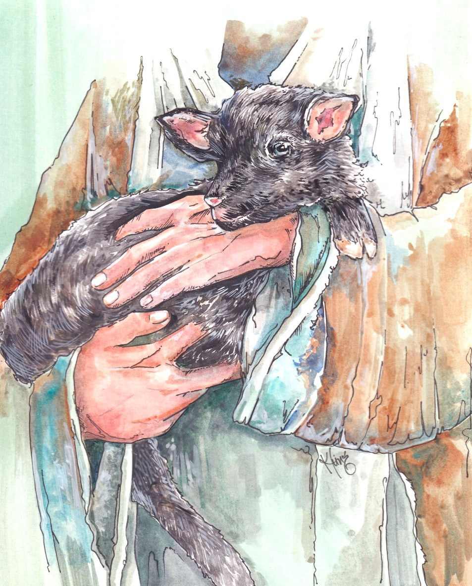 Safety - Fine Art Print
