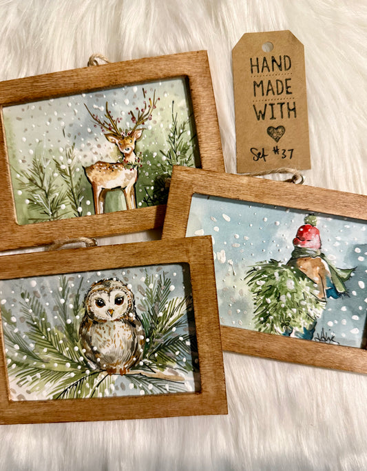 Set #37 - Woods (3 ornaments)